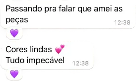 Mensagem de uma cliente que diz 'Passando pra falar que amei as peças. Cores lindas. Tudo impecável.'