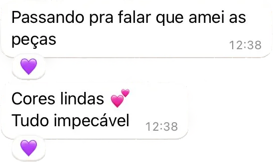 Mensagem de uma cliente que diz 'Passando pra falar que amei as peças. Cores lindas. Tudo impecável.'