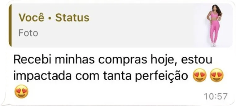 Mensagem de uma cliente que diz 'Recebi minhas compras hoje, estou impactada com tanta perfeição.'